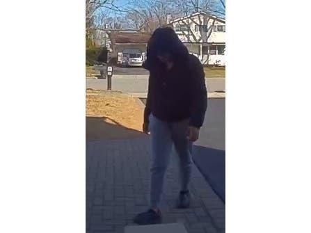 A woman stole a package from a porch in Hauppauge on March 6, Suffolk police said.