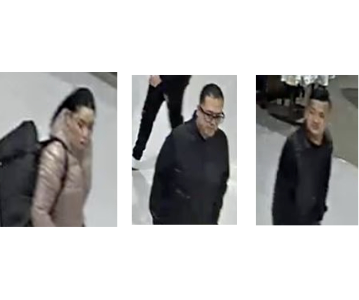 Two men and a woman stole from a Dick's Sporting Goods in Melville on March 11, Suffolk police said.