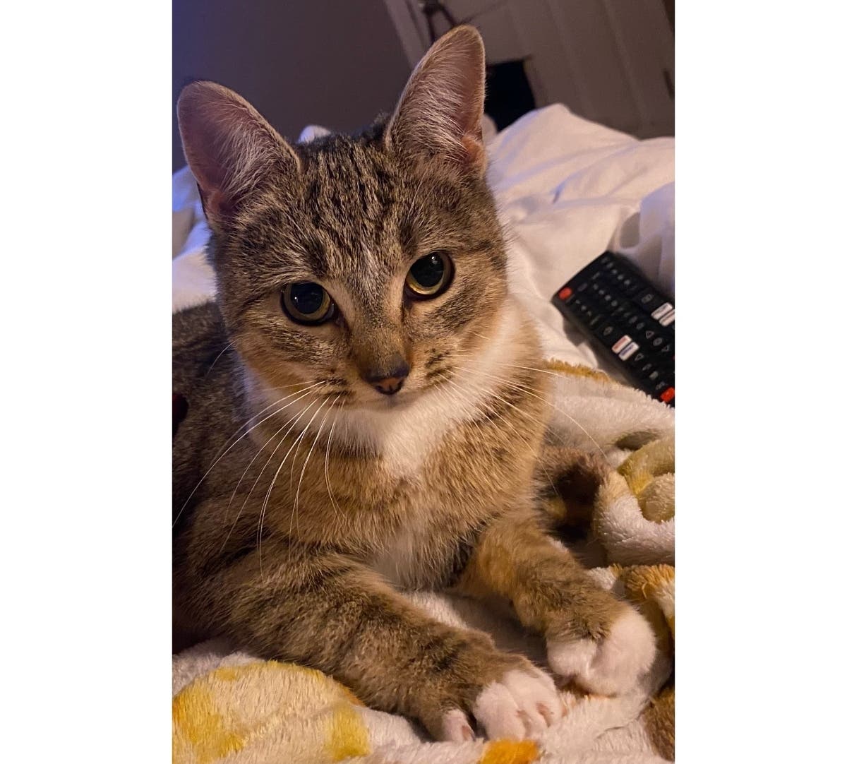 News small post card thumbnail