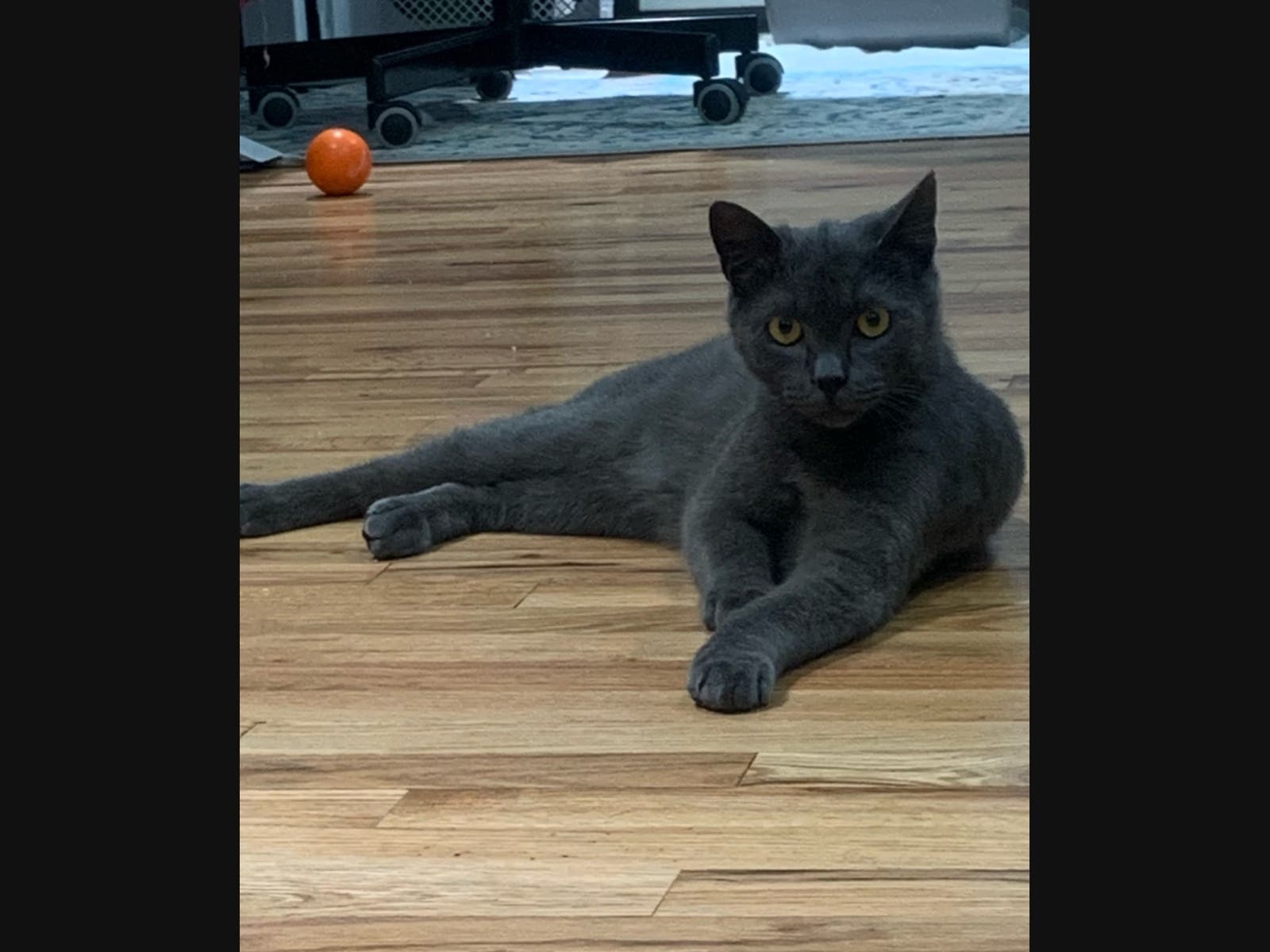 News small post card thumbnail