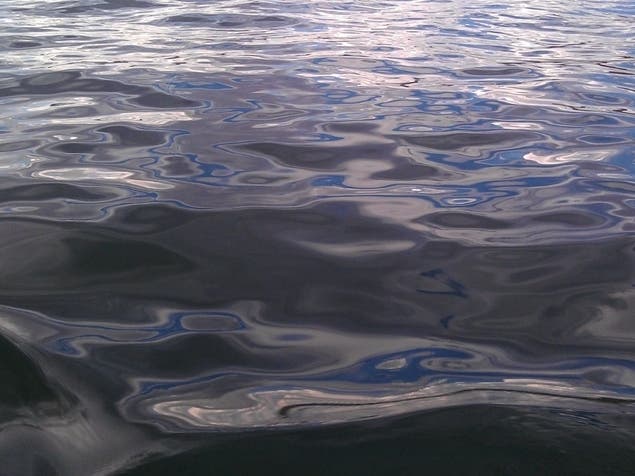 A man jumped into the creek and didn't resurface. He ended up suffering cardiac arrest. 