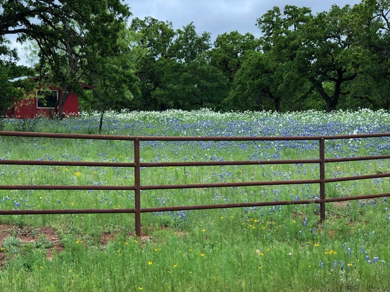 A Crofton couple has carved out a peaceful retirement for themselves on a lavender farm.