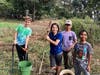 Volunteers of all ages are invited to volunteer at the Community Ecology Institute's 6.4-acre organic farm.