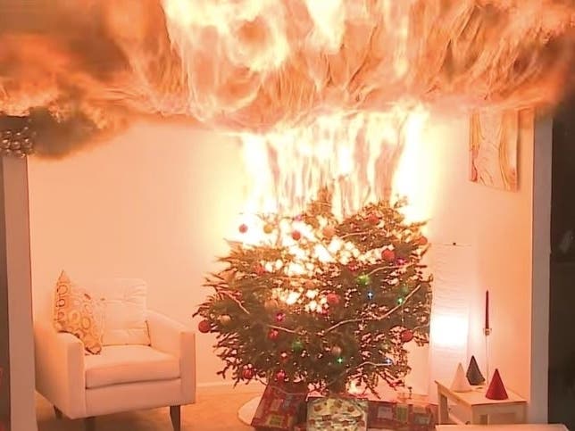 A live Christmas tree erupted in flames in seconds in a burn conducted by the U.S. Consumer Product Safety Commission. Well-watered trees burn at much slower rates, according to the National Fire Protection Association.