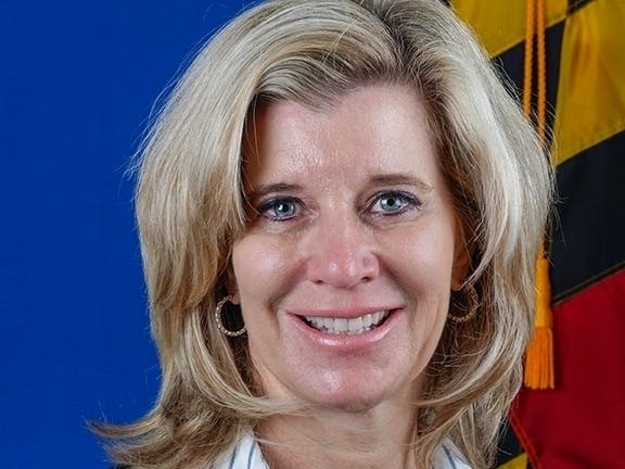 Penny-Ardinger is a former president of the Friends of Howard County Library and has served on the boards of numerous organizations including the Ellicott City Volunteer Fire Co., the Charter Review Commission of Howard County and Neighborhood Ride.