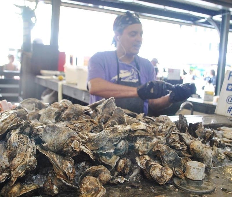 The new law aims to stop the long-term decline of oysters in Maryland and help develop a healthier Chesapeake Bay ecosystem. 