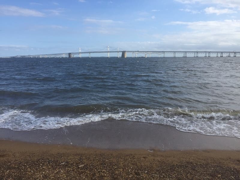 “Anne Arundel County residents have invested far too much in the Chesapeake Bay restoration effort to watch from the sidelines as the EPA abandons its obligations."