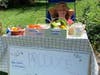 The Ertwine family of Crofton hopes to receive goodwill donations to support Alex's Lemonade Stand.