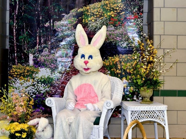 The bunny photo experience hours are Monday through Saturday from noon to 7 p.m. and noon to 6 p.m. on Sunday.​