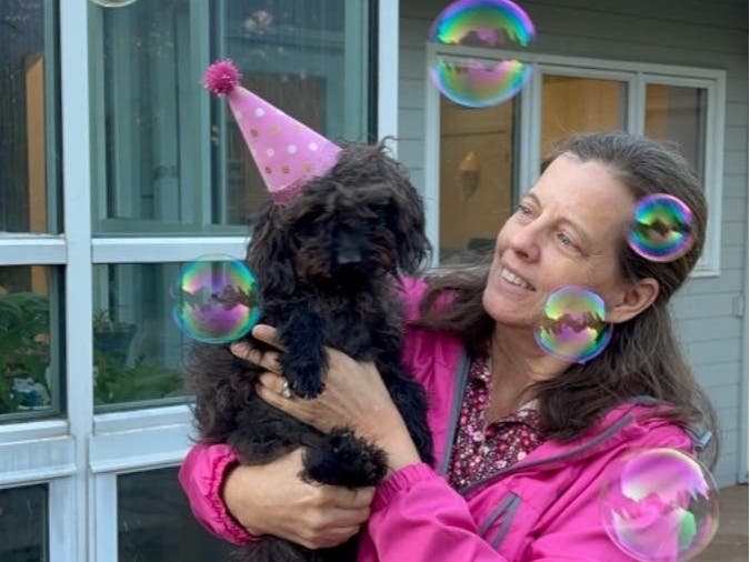 Remy will run from people she doesn't know, so if anyone sees Remy with her sparkly pink collar, contact her owner.