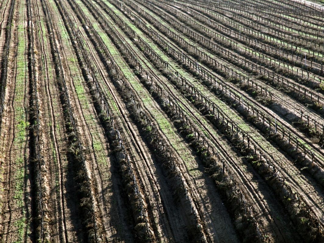 The county will work to scale up and institutionalize pilot successes upon completion of the initial five-year USDA-funded project period. 