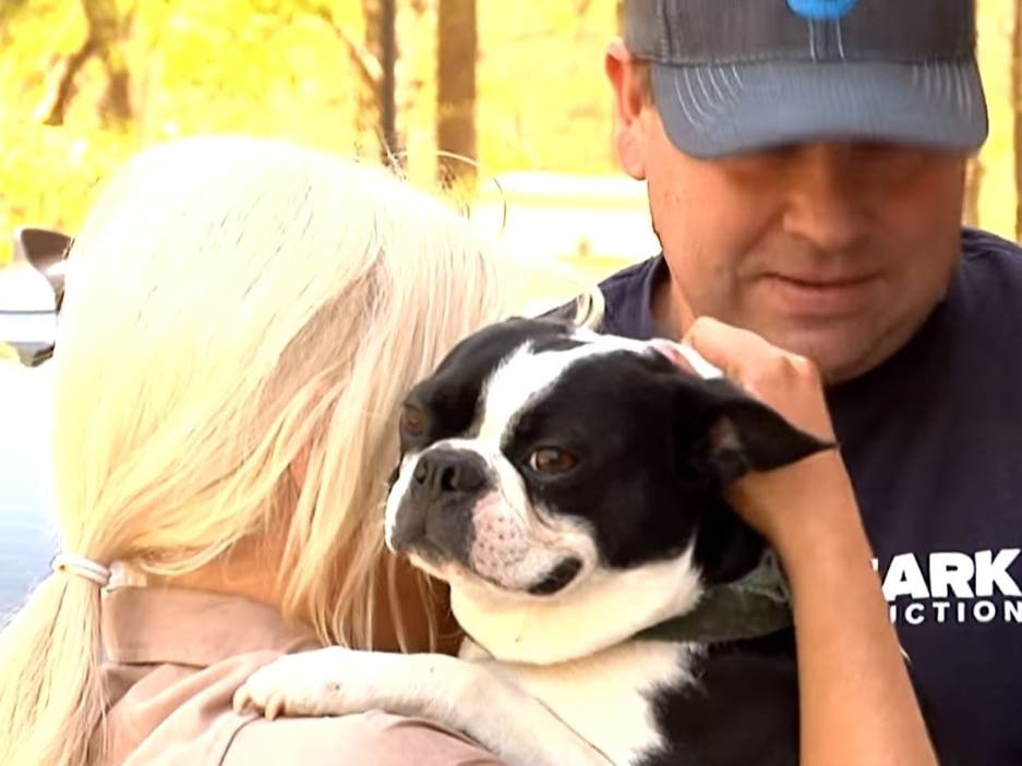 Gianni the Boston terrier who was sitting in his family's vehicle when it was stolen from a gas station in March has been reunited with loved ones.