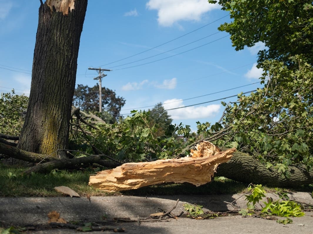 A section of Shucks Road in Bel Air between MD Route 22 and East Wheel Road also has reopened now that clean-up from recent storm damage has been completed. The road originally was to be shut down Aug. 7-11 but reopened Aug. 18. 