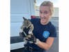 The kitten was taken to a local animal rescue for medical treatment, the Howard County Fire and Rescue Services reported.