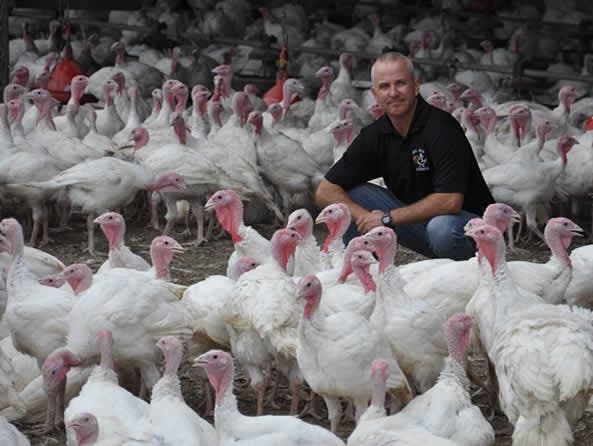 https://patch.com/img/cdn20/users/23352305/20231109/021452/styles/patch_image/public/evenmoreturkeys___09141353930.jpg