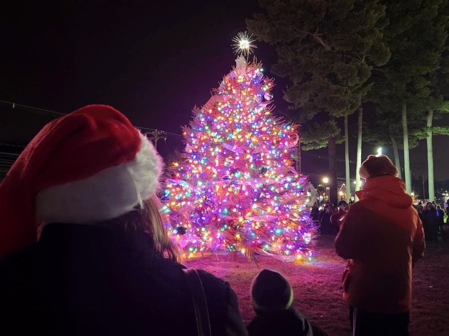 Winter Wonderland, Christmas Celebration, Parade, Tree Lighting Return