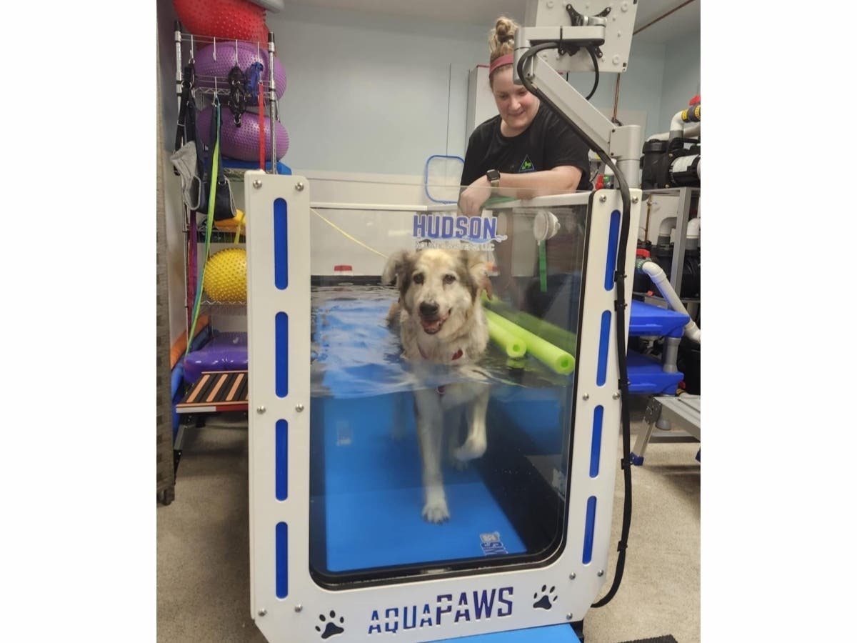 There's a state-of-the-art AquaPaws underwater treadmill on site, an advanced system specifically designed for canines and small animals, offering the benefits of aquatic therapy without the need for a full pool. 