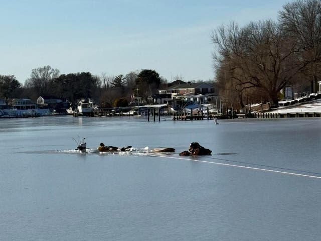 2 Men Rescued After Falling Through Ice On River | Bel Air, MD Patch