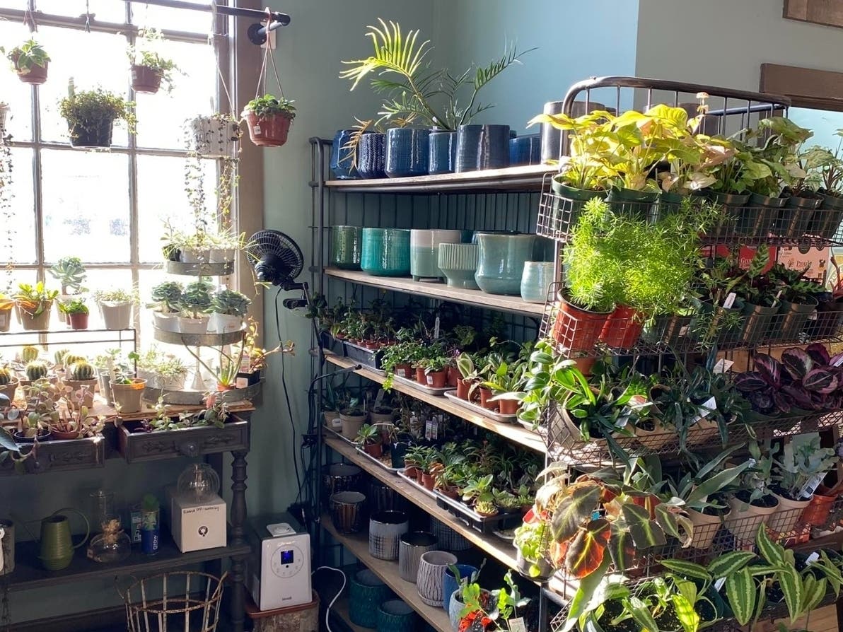 Cultivate, a garden and goods shop, sells native seeds, nature inspired gift and cards, houseplants and accessories, natural fertilizers and soil amendments, local artist made goods, food and drink that is natural without additives, garden tools and more.