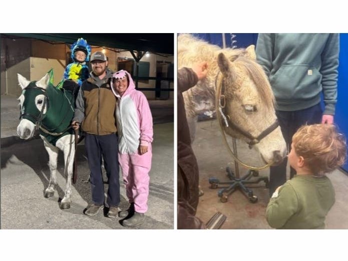 Cash the therapy pony recently experienced a medical emergency. While he's on the mend, a GoFundMe has been created to help offset the surgical costs.