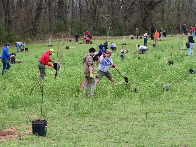 Since 2003, Harford County has planted more than 33,000 native trees across the county. Plantings this year included red maple, sweetbay magnolia, sweetgum, swamp white oak and river birch.