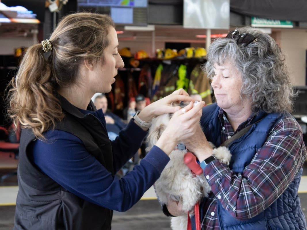 More than 546 pets were vaccinated and/or microchipped at a public clinic hosted by the Humane Society of Harford County in February at the Abingdon Fire Company. The next clinic will be June 13 in Darlington.