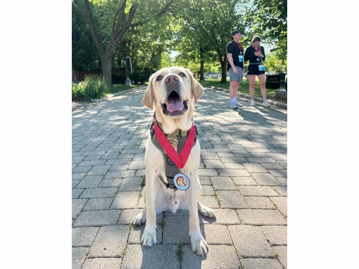 This past weekend, K9 Ollie participated in the 2026 Hero Dogs 5K9 at the historic Congressional Cemetery in Washington, D.C.