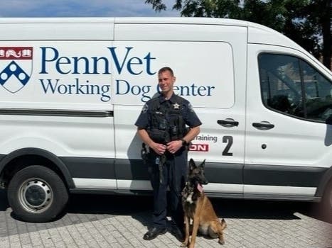Sgt. Matys and K9 Stevie spent 10 weeks engaged in the intensive training program. K9 Stevie was named ﻿in honor of Police Officer Stephen Charles Plum Jr. of the Warrington Township Police Department who passed away in 2022.