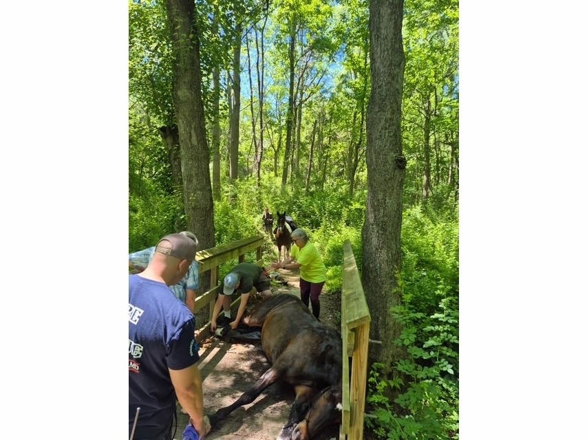 Emergency crews were at a bridge in Patuxent River State Park for around three hours and were joined by Park Police and a veterinary team to help safely free a horse that had partially fallen through the bridge.