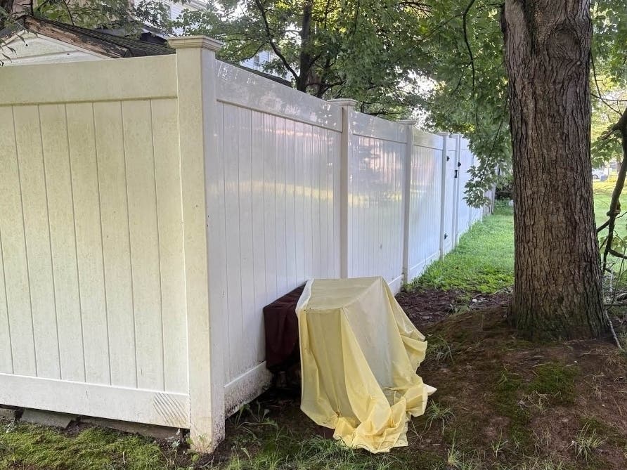 The crate containing the dogs were found near the 1600 block of Harford Square Drive in the area of J Court along the walking path. The crate was covered with a brown sheer sheet and a yellow plastic sheet covering it.