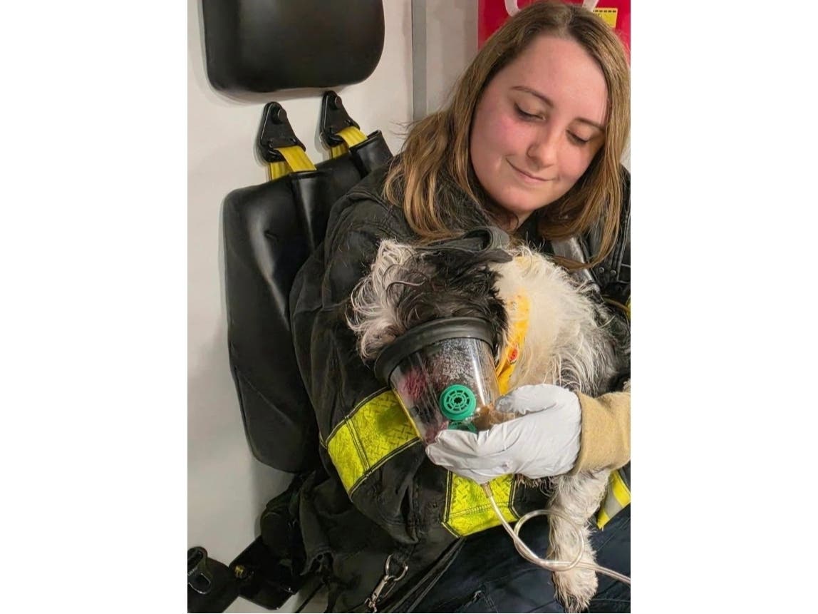 The Joppa-Magnolia Volunteer Fire Company﻿ was called to a Joppatowne home where they found the family's rescue dog, a terrier, stuck deep inside the recliner. Firefighters had to use the Jaws of Life to free him.