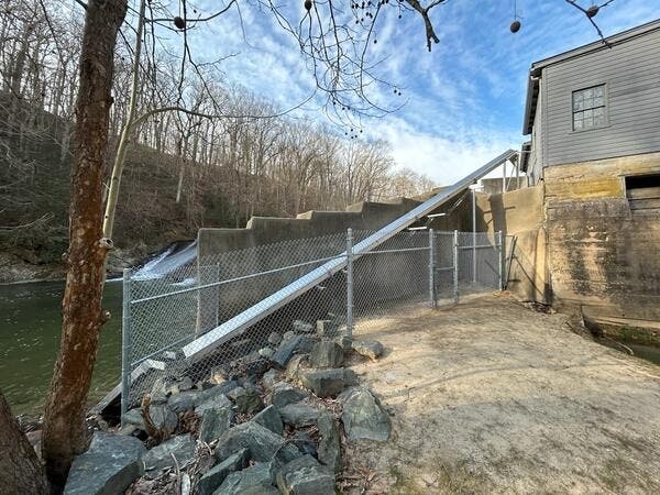 An eel ladder constructed along the Eden Mill Dam helps American eels make their way up and over the water.