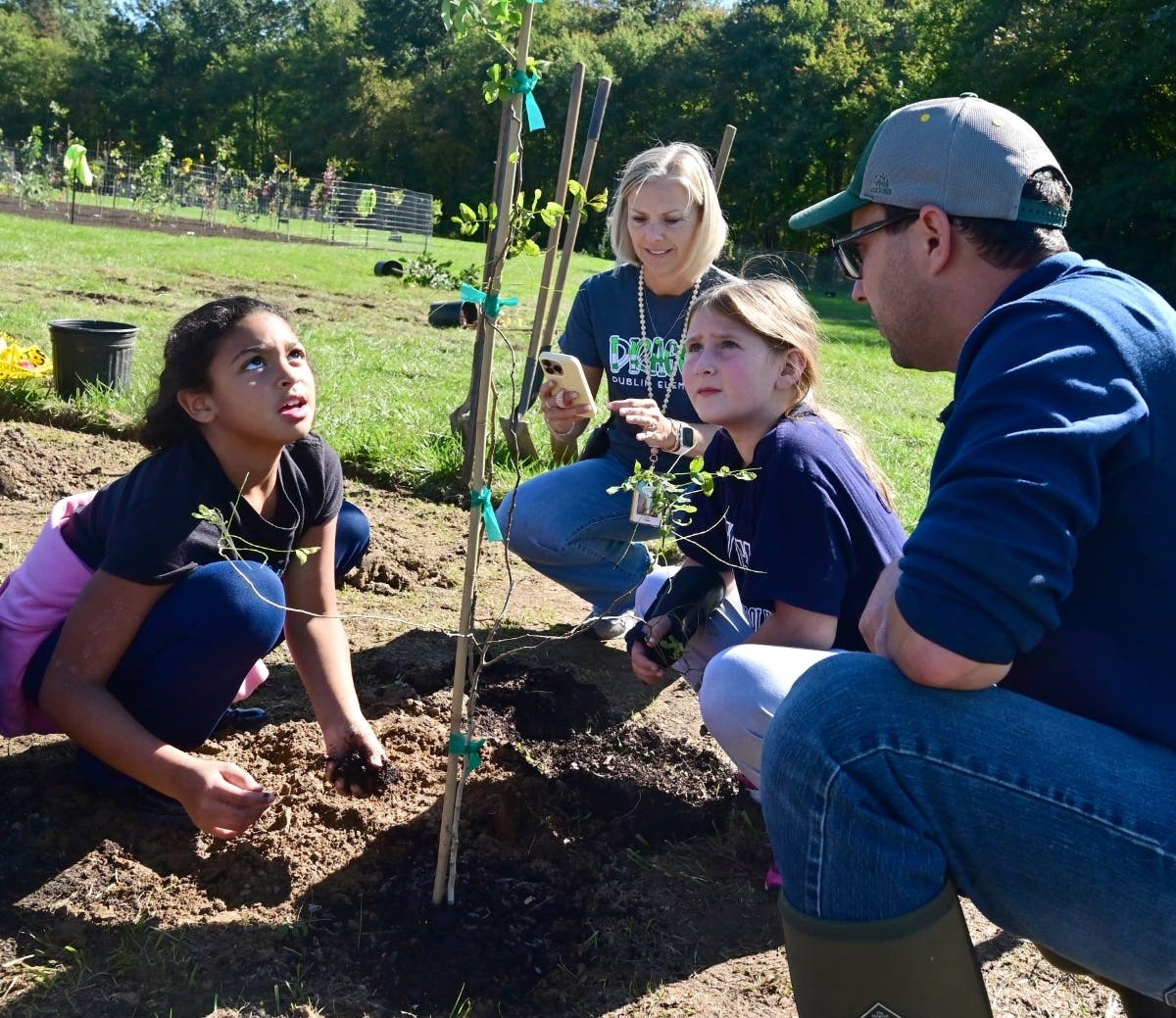 Rather than leave a marshy area on school property unusable, the county developed a reforestation plan to turn it into a healthy, growing forest.