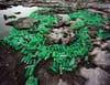 Alejandro Durán creates installation out of international trash found on some of Mexico's most beautiful beaches.