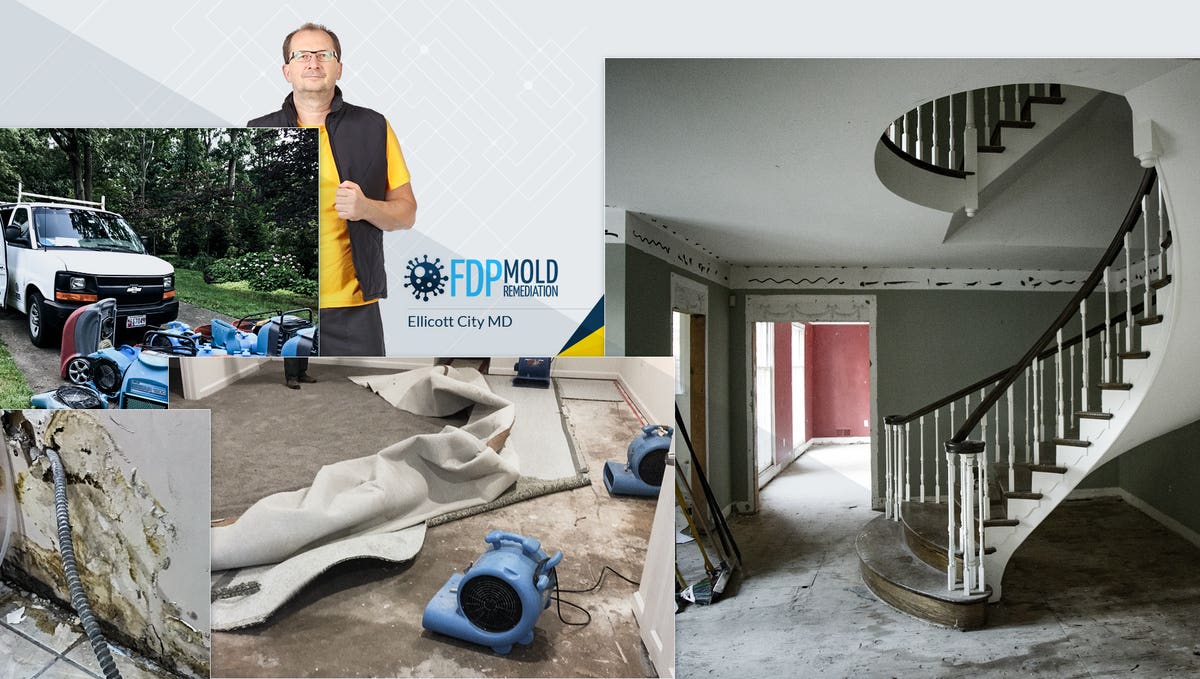 FDP Mold Remediation of Ellicott City