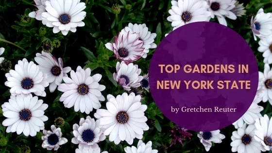 Gretchen Reuter Top Gardens in New York State