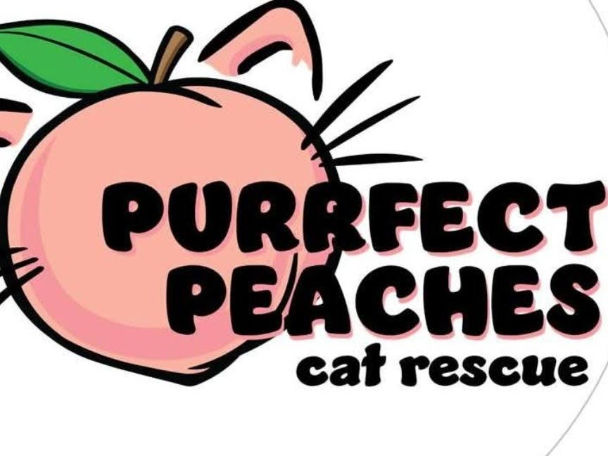 Purrfect Peaches Cat Rescue @ MAES Market