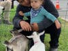 One year-old Jethro protects his dad Rodrigo from the friendly pygmy goats provided by Tall Pines Patch.