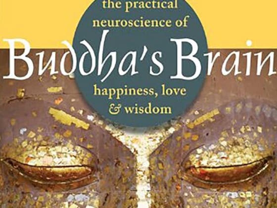EAY Bookclub: Buddha’s Brain by Rick Hanson