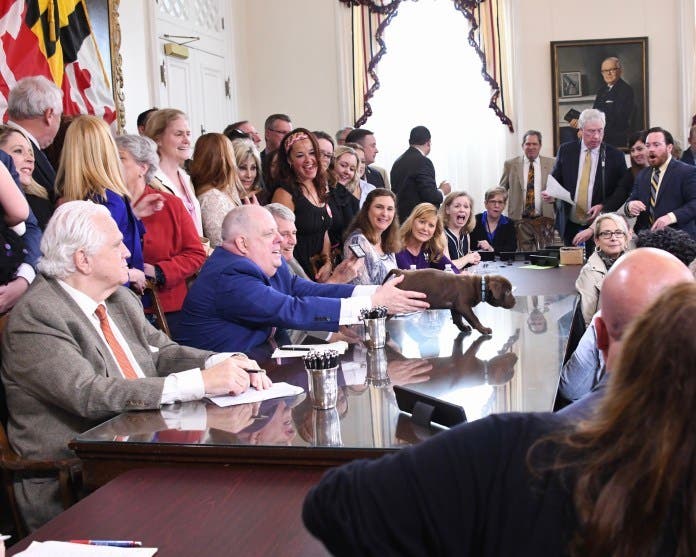 Gov. Lawrence J. Hogan Jr. (R) tries to corral a four-legged supporter at the April 24, 2018, signing of House Bill 1662, which bans retail sales of cats and dogs beginning Jan. 1, 2020. The law has been challenged in court by pet store owners.