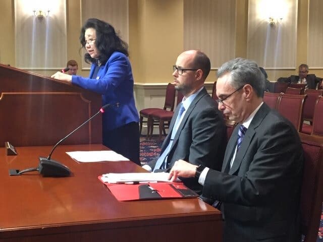 Sen. Susan C. Lee explains her ransomware legislation at a hearing.