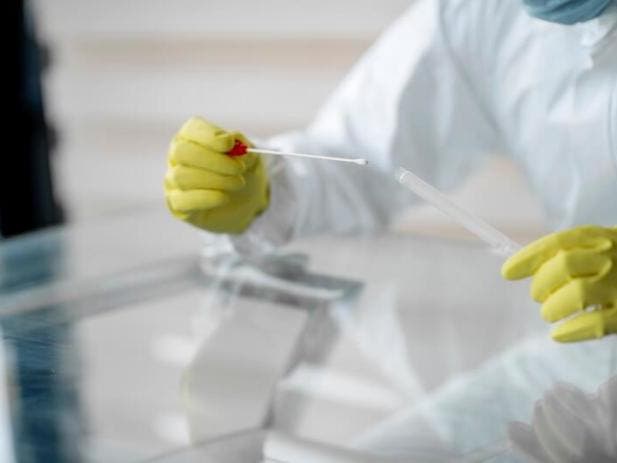 Maryland voters approve of how Gov. Larry Hogan is managing the public health crisis but feel a lot less favorably toward President Trump's efforts, a new poll says.