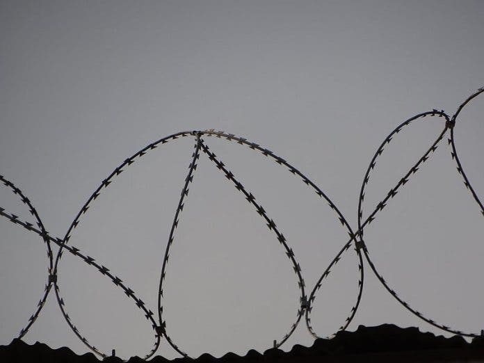 Photo from pexels.com.