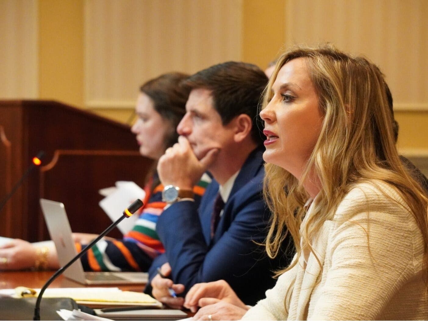 Cailey Locklair, president of the Maryland Retailers Association, testifies against measures in the Protection From Predatory Pricing Act that would ban "dynamic pricing" at grocery stores. 