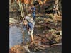 Stream turned river crossing