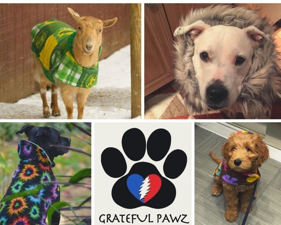 Greatful Paws