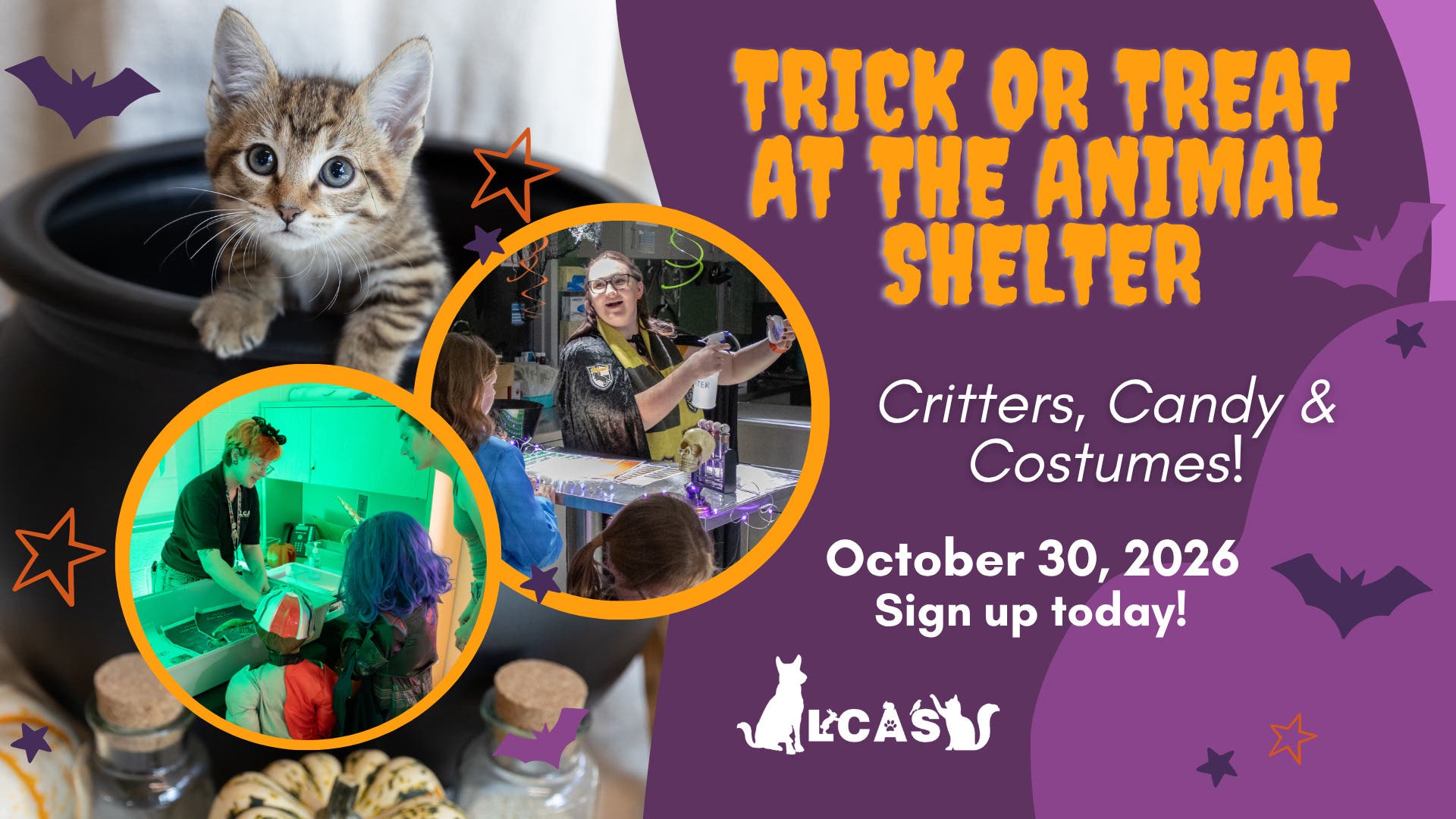 Trick or Treat at the Animal Shelter