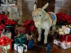 The Steiff wheeled ride-on donkey draws visitors’ attention every year—just as it was a favorite of the Pitcairn children and grandchildren in years past. (No donkey rides permitted!) 