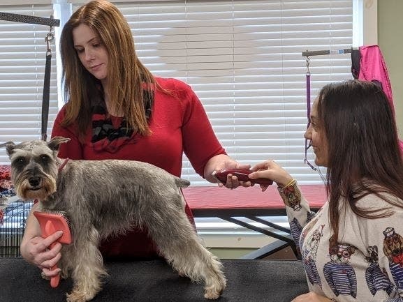 Tops in Show… Shannon Powell of 'A Muddy Paw' and Jasmin Cruz of 'Unleashed' join forces for their furry friends.