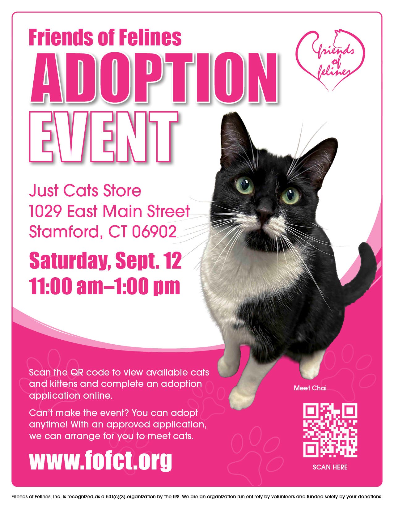 Friends of Felines Adoption Event